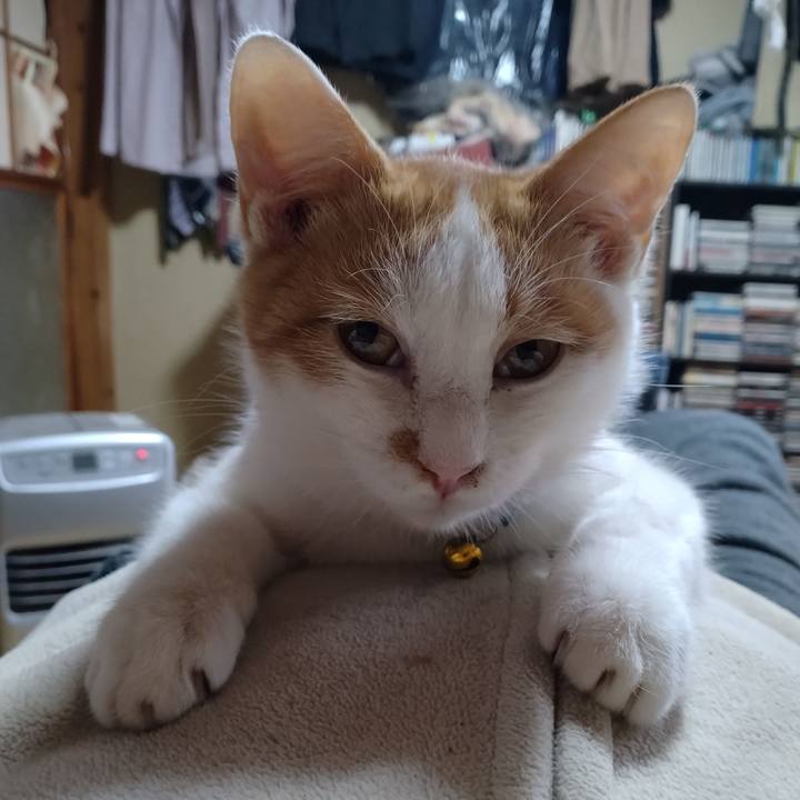 01237dbd 82e1 4d7f 975c d9cf8840cddf 1733996393895