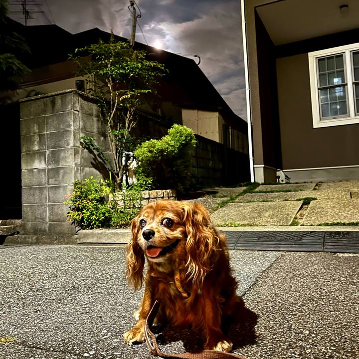 0123a7ba 0c5c 4c67 95bb 4730d22b3b2c 1726570539279