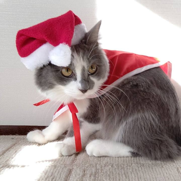 0123bd62 b377 49f5 9a67 14815e00c507 1703394606348