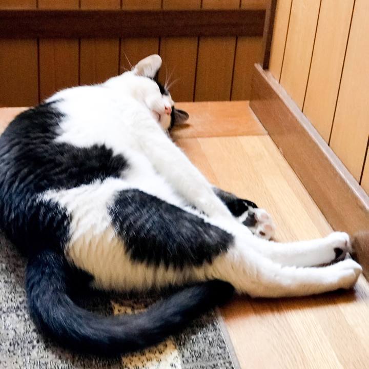 0123cb9c 4a62 4b86 97f5 7dcc75bbbced 1534774980783