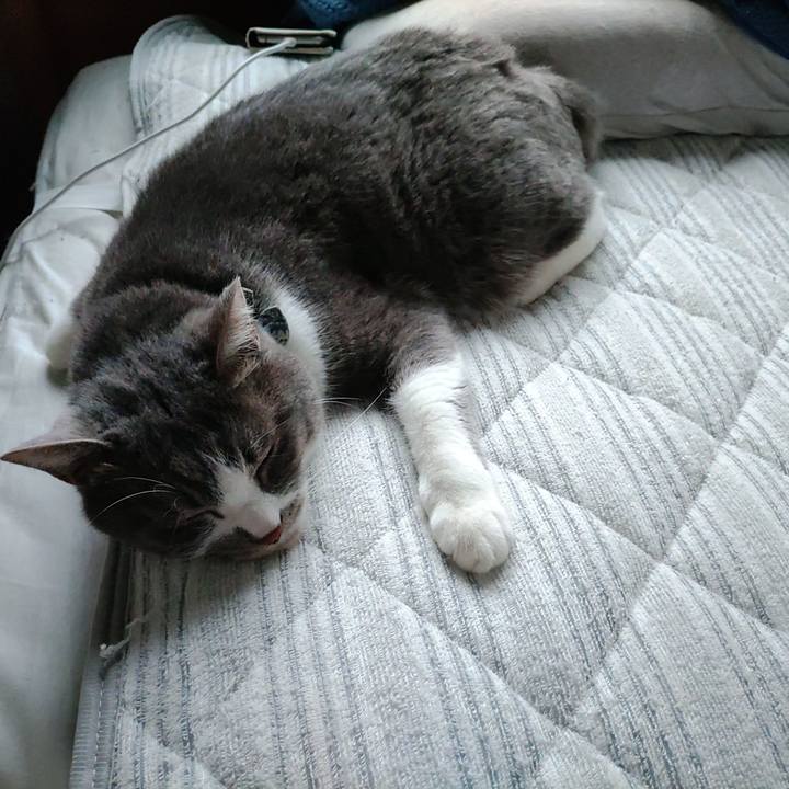 0123f4f4 74a2 4273 8c8c 7dd532d9ad93 1713737359344