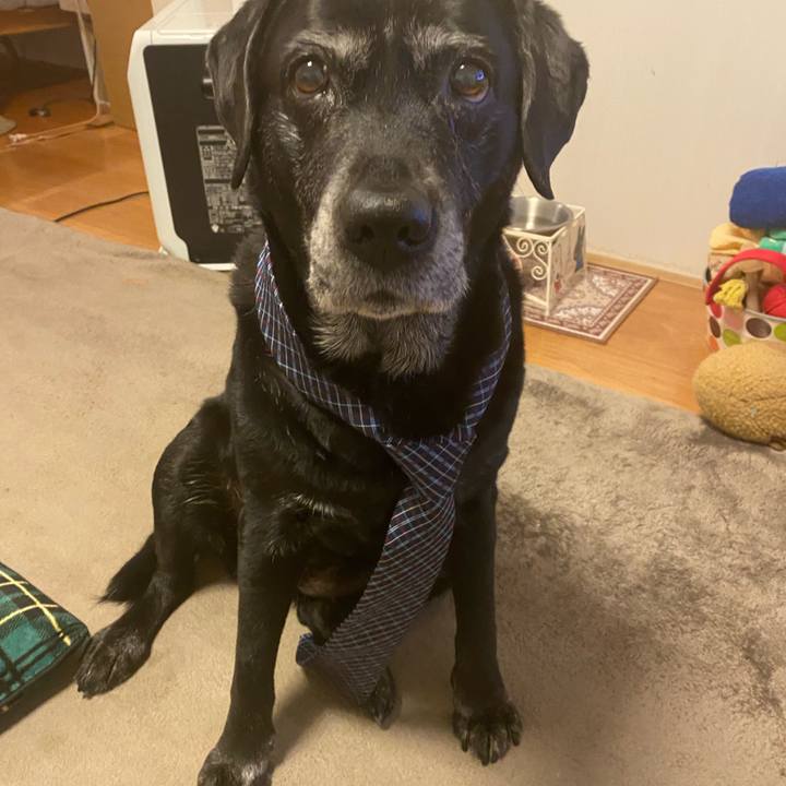 01241e40 0a2a 4d78 ae06 a4f9bb9a8368 1644446232709