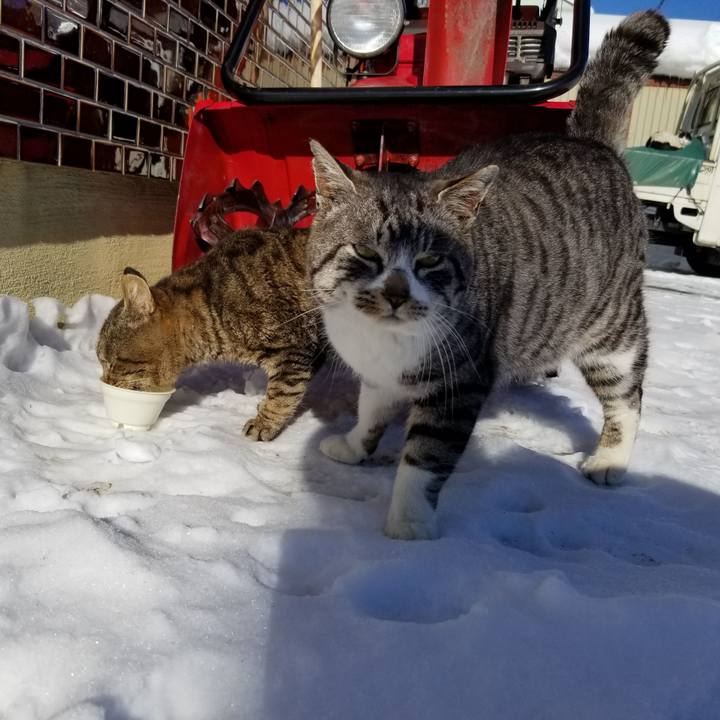 01243d63 c504 406c 9ba7 2e1cba3a8cee 1643765957284