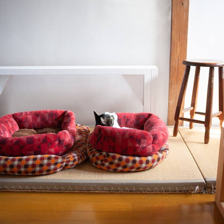 01248b61 78e5 49dd 9a13 90c40855d872 1589775645457