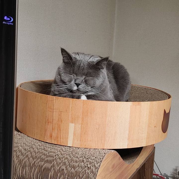 0124a3e4 6b50 4b40 8d29 cf2ddbca8941 1645262983392