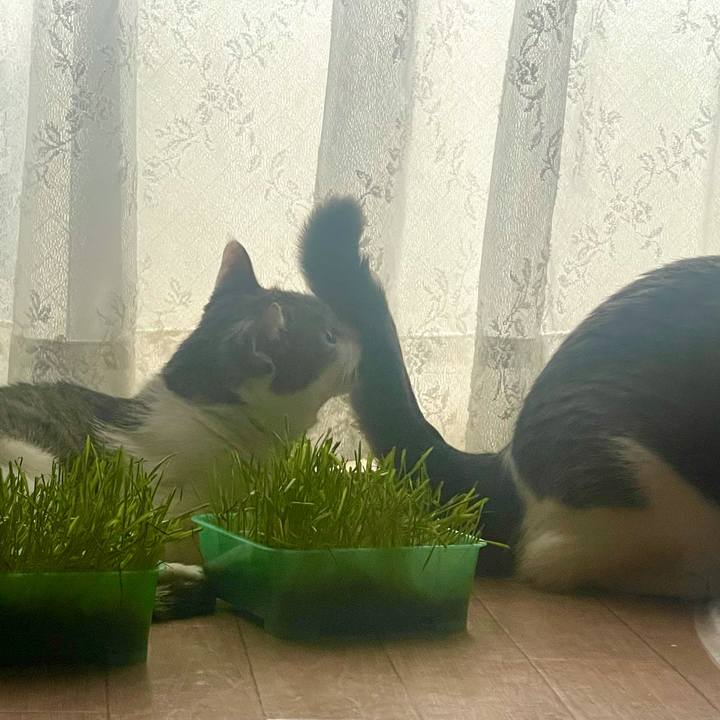 0124a91c 56cb 4844 9dec e7c9b502daef 1628839226700