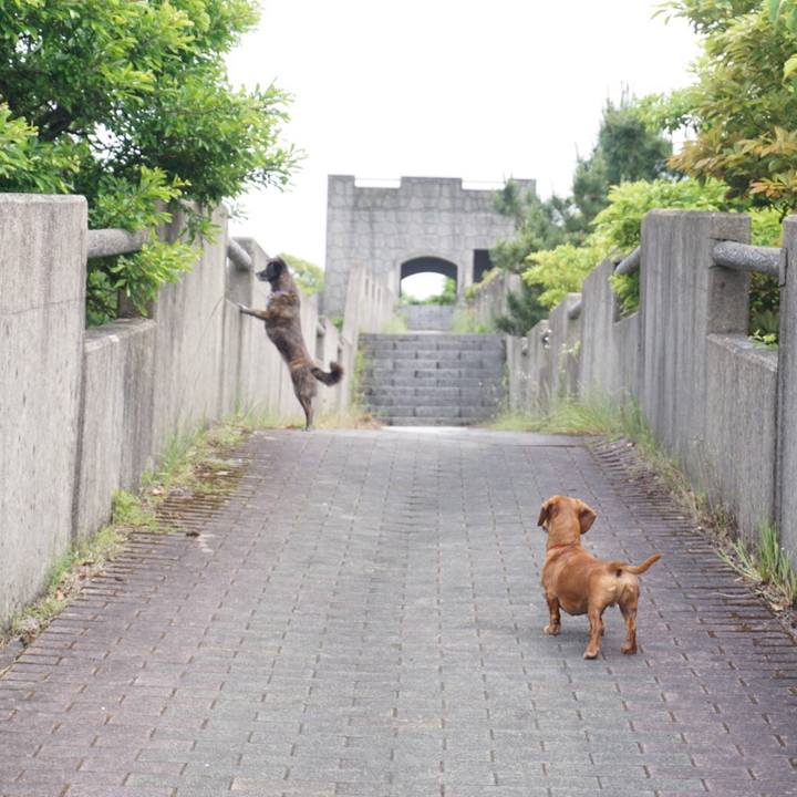 0124caf8 681d 45e4 99dd f8d9658406f4 1561536044890