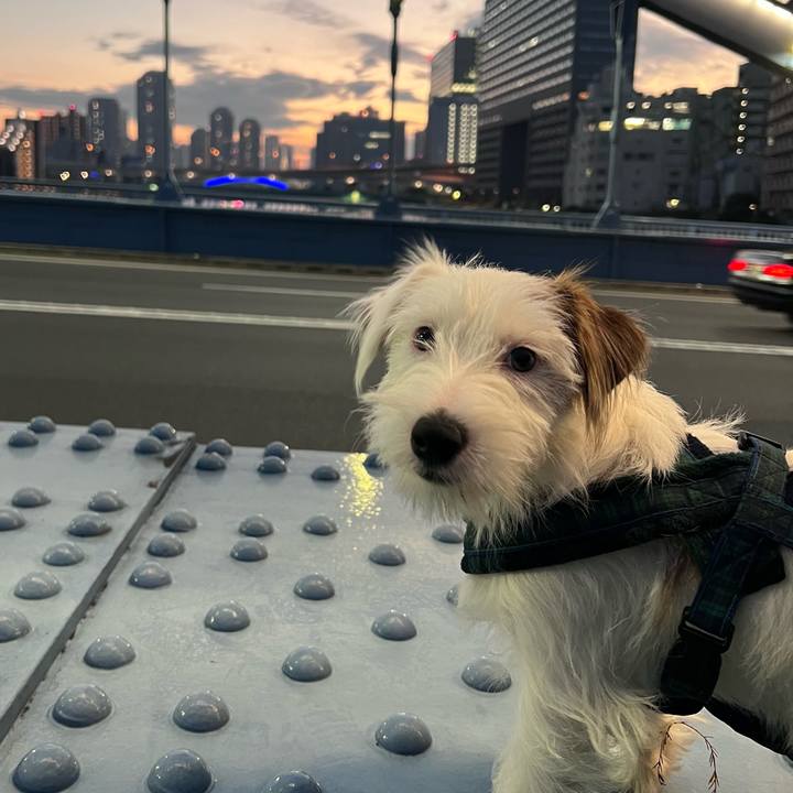 0124f1db 5894 45e9 87e5 fec506355d83 1702813581563