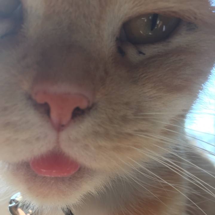 01251051 6a4c 48c6 84bf 2543ebd4f8be 1547124677779