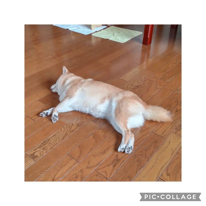 01254a0c b213 4336 a187 d5e13abbdf8d 1754789152534