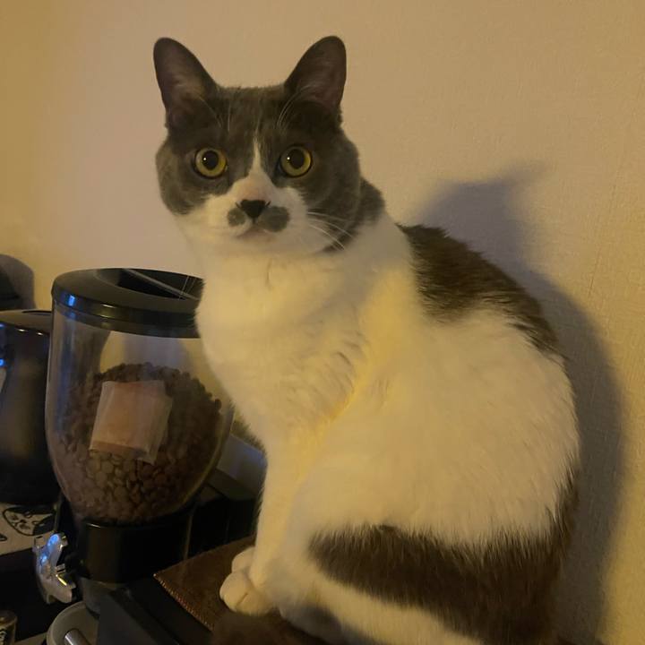 01255262 8c5e 4a4f b425 063383d2615a 1743209783955