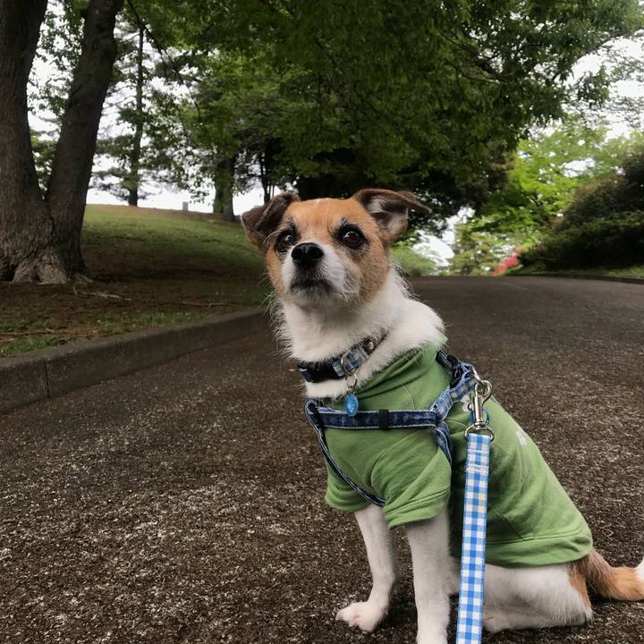 0125765b c9b7 4d9c b88b bef4a8e77fd3 1523928540353