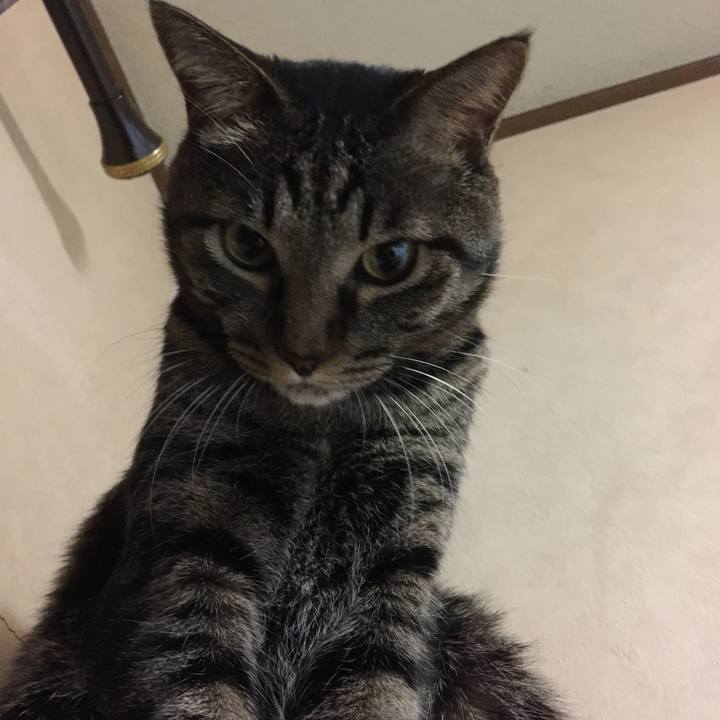 0125a491 5586 4af4 9582 3934a8620640 1549537439760