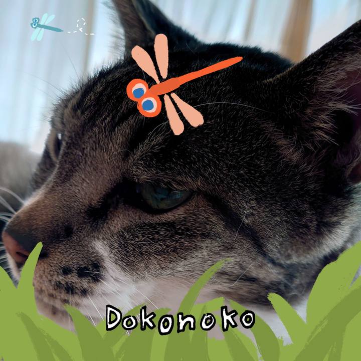 0125cbce 99ab 43f8 8405 3d1d893a26dc 1727142201732