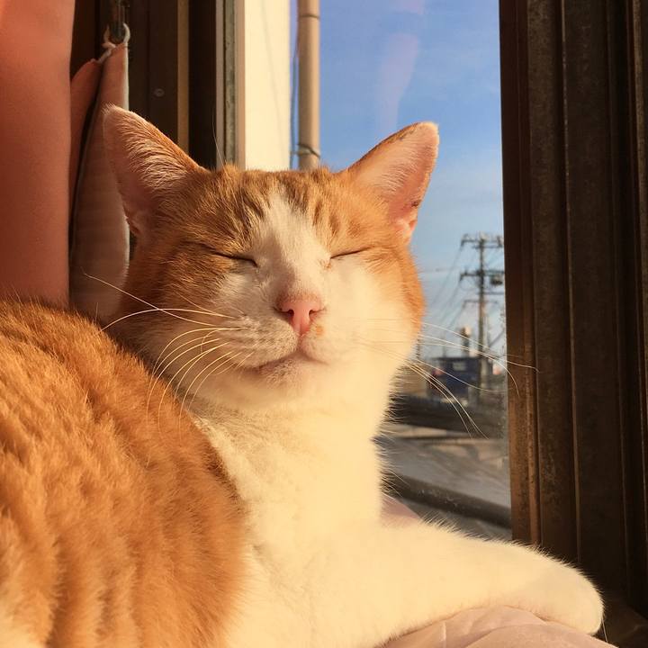 01264448 99ff 491b bb2c 11ba475d0a44 1576738617637