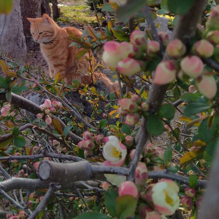 01264677 779e 407b bf8f 46d77959fd66 1681203267940