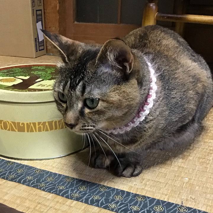 012659b4 42fa 4e31 afe5 9611127f1964 1654674672766