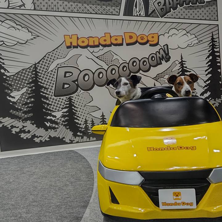 01266498 e14a 4fc2 8914 2084ad14254c 1680329947874