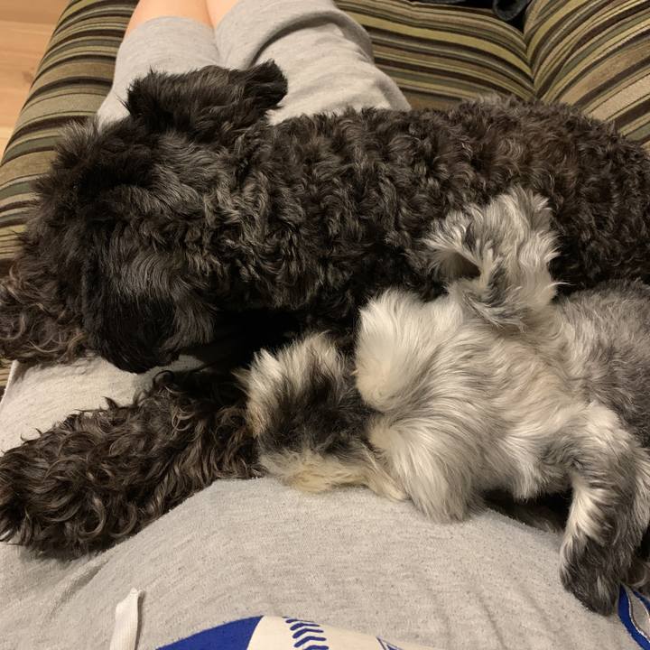 01266a8c a857 4448 a91b cceb19ae46f2 1594724431423