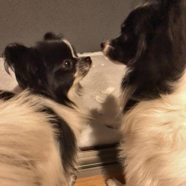 01266bc6 7ed3 4c21 9b71 a576bb69e202 1516658222112