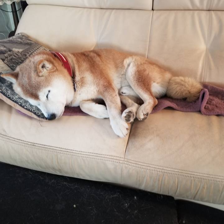 01267182 b125 44a1 810a 779146dcbb06 1740354157345