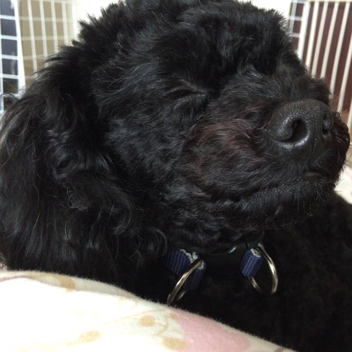 0126e6db 81bd 4feb aa65 e3fb8b287d94 1520956933373