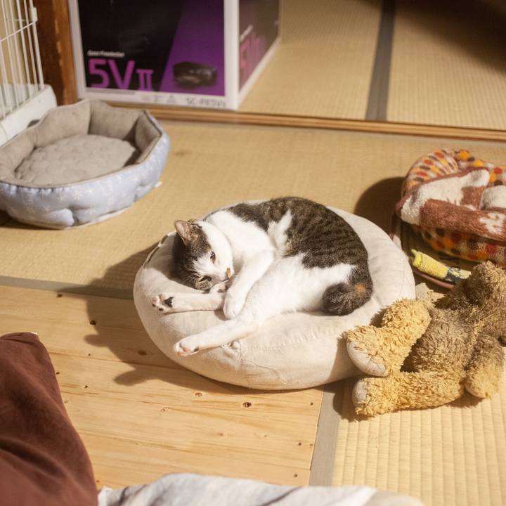 0126f73f 1c91 46a9 8174 a7de8587104a 1570459778259