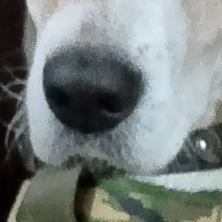 0127270b 8cc2 4557 8356 53c884b1df7b 1734515993717