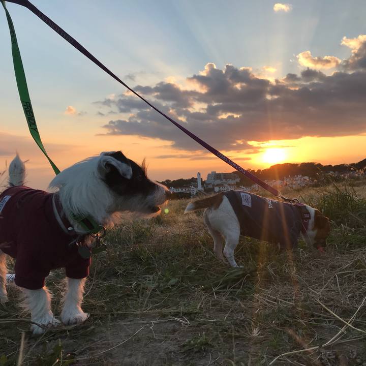 01272fc1 c053 49fe 8cd0 23cc3d2e3f3a 1510213528842