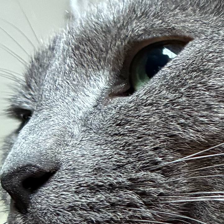 012732ae fd5d 4ab9 8d48 30441538ba96 1748080820859