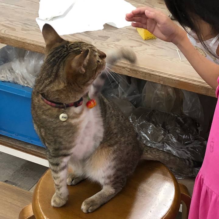 01274bab 93d1 4c17 a6ff bf5feee3bdf6 1658497490911