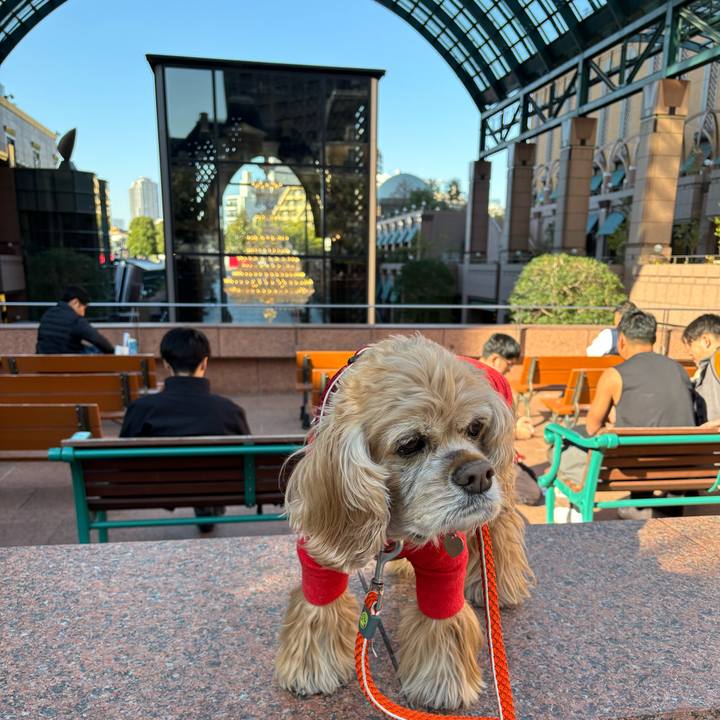 01275363 a282 4a26 a348 77ef65ff4fbd 1764601418090