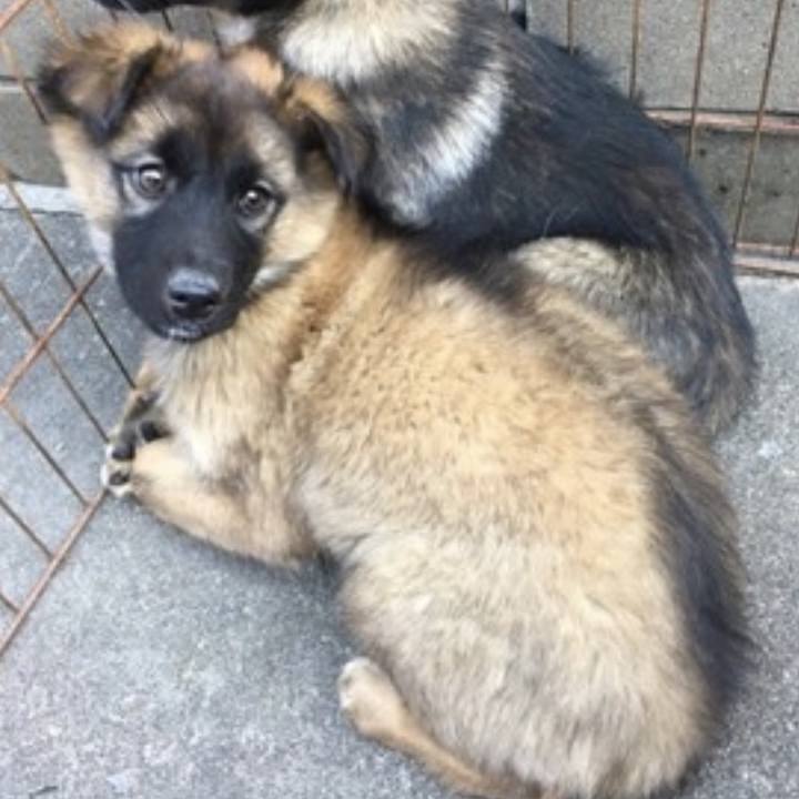 01279f26 180c 47d5 81f9 266a93bf1158 1758607145515