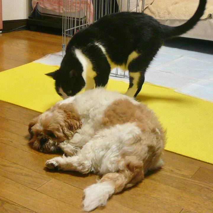 0127a7b4 be38 4596 a118 34a41761138f 1514374130129