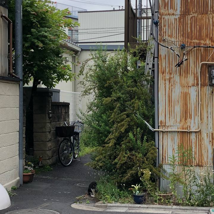 0127a8e0 fc6c 4092 96ce 9bdbe0503efd 1525742815699