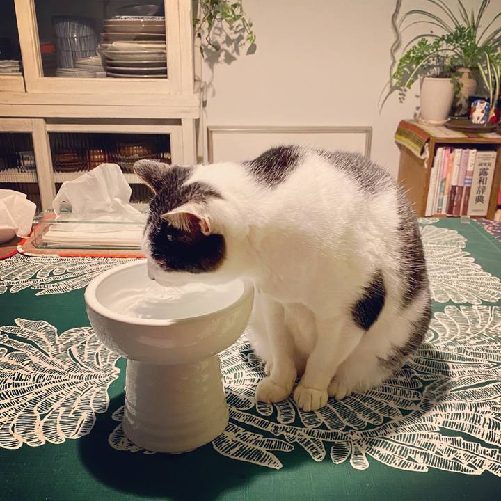 012813b9 59cc 4aea 9777 7844126b122b 1578472521677