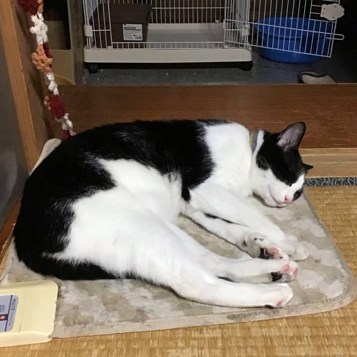 01282158 6672 4cf3 8d99 c268d234cc3b 1652348496301