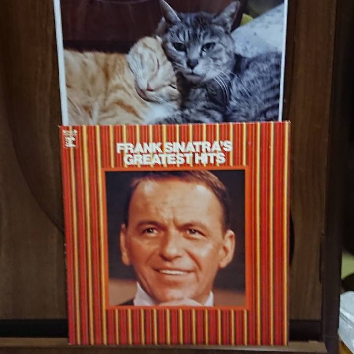 01288ea4 a033 494c 9fe0 eb026c11cfde 1601983788596