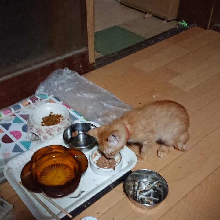 0128d29b 47bb 4892 bb3c 6379f867ed14 1631219862390