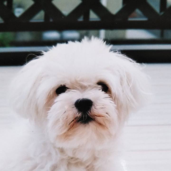 0128edd5 f675 45a5 8895 ef2ec4d1782c 1590596496526