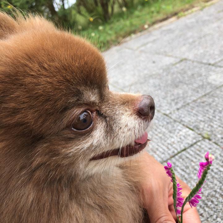 0129073e 4d50 4971 8d1a 9dface3ea60a 1596769995497