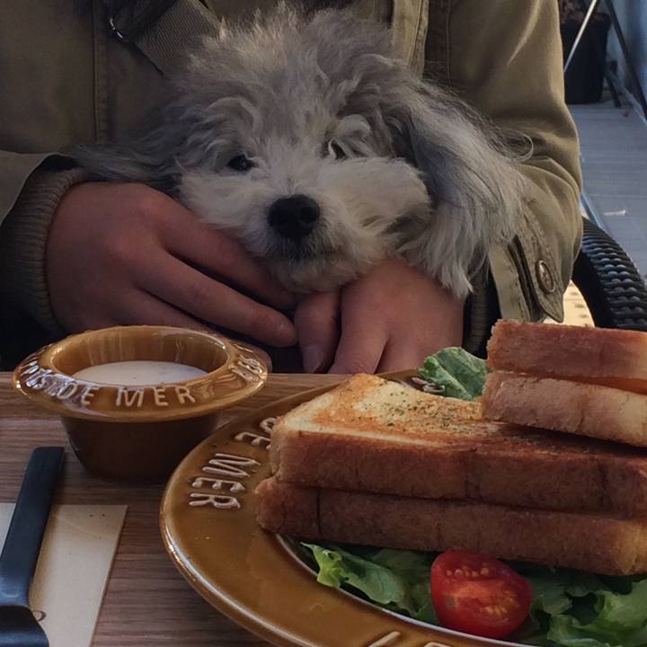 01290aad be63 4ac2 8b6b 4bb940696a86 1513414329929