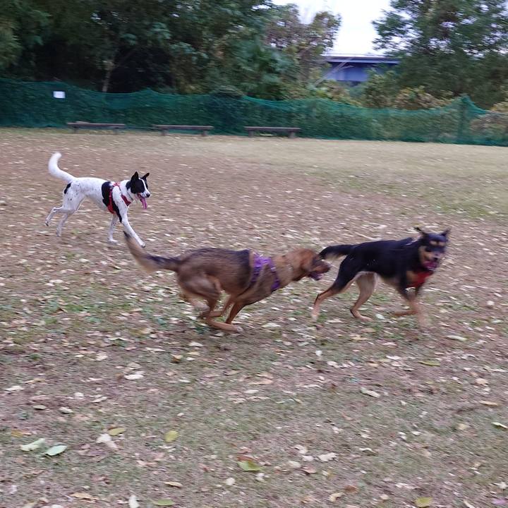 0129160d 7c72 434a aa49 35f11335c7fe 1731202355475