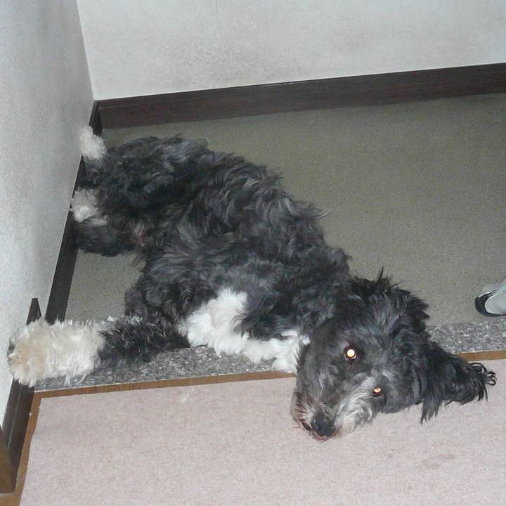 01295ad8 4a93 49e0 ac89 3573602dfe9a 1627427035298