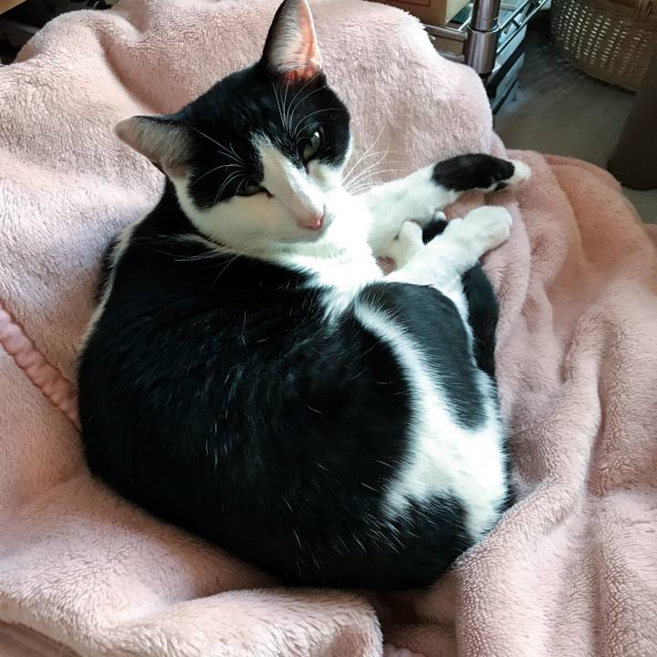 01297a1a 602b 4d4a afc7 218b238e8cac 1510451769195