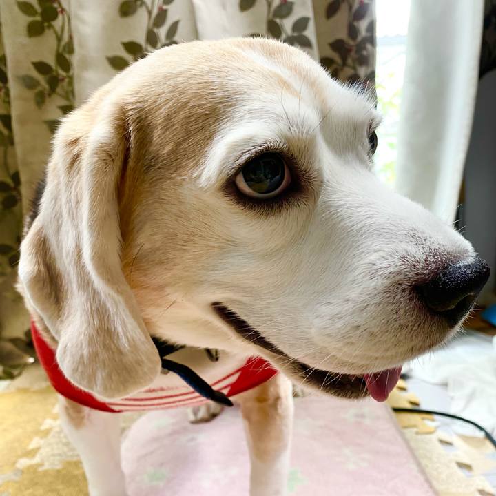 01298b63 8df0 443b adb4 2209bc236767 1621482906238