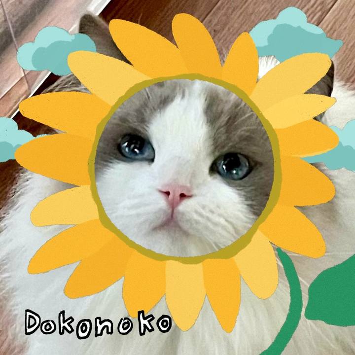 01298c9e 8f69 4537 8526 604f663b469b 1723287091612