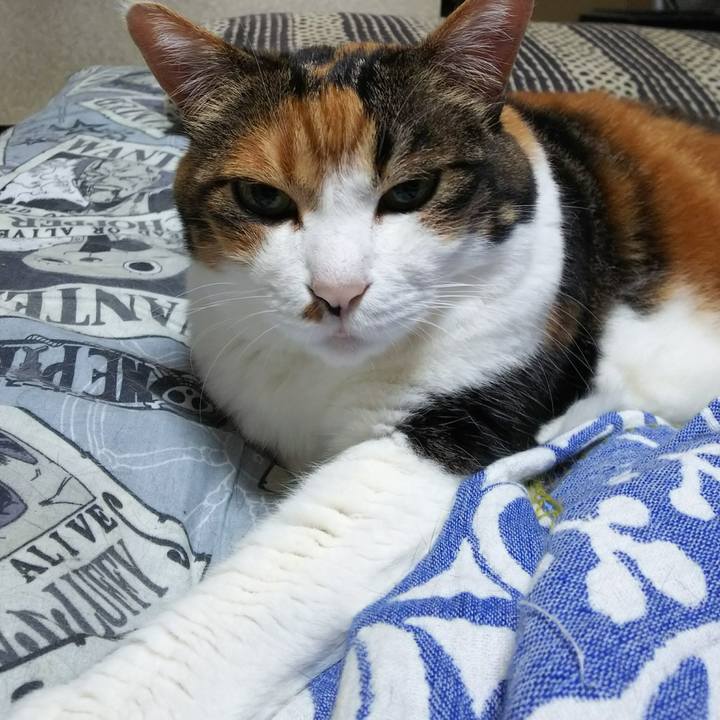 01299ad5 3126 486d 9beb f6e882863522 1531345116632