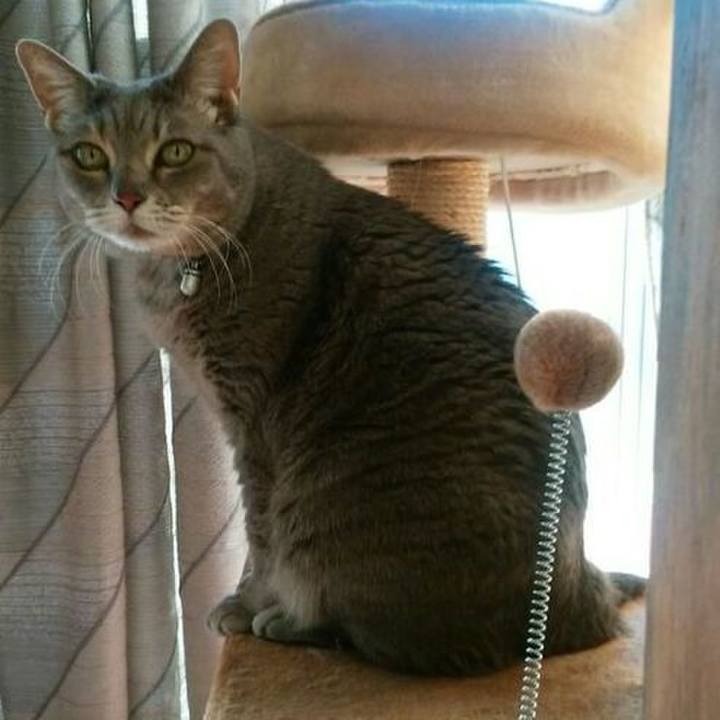 0129a9a3 b6c7 40e4 89a2 a1803bb644f4 1616639261255