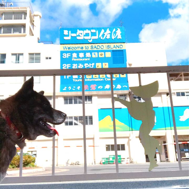 0129c9db 6a9c 4dcb b2b1 1625f11744ae 1554008962329